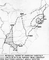 American Chestnut Blight Map