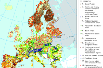 Current European forest cover