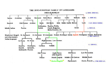 Indo-European Language Family Tree