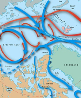 Arctic Current