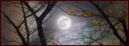 Autumn Full Moon