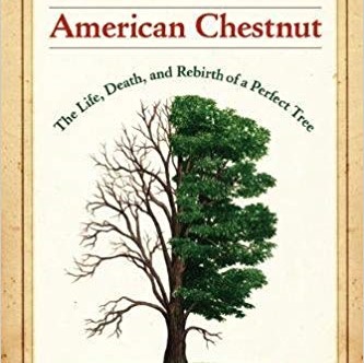 
 American Chestnut: The Life, Death, and Rebirth of a Perfect Tree